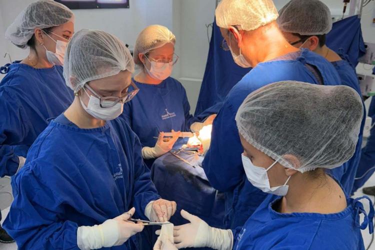 Cirurgia