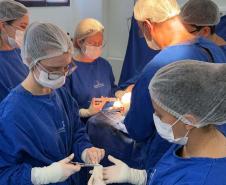 Cirurgia